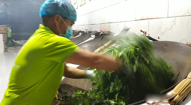 電氣化制茶成主流，蒸汽發(fā)生器讓制茶無(wú)煙化，實(shí)現(xiàn)零排放的環(huán)保目標(biāo)